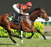 Super Easy<br>Photo by Singapore Turf Club